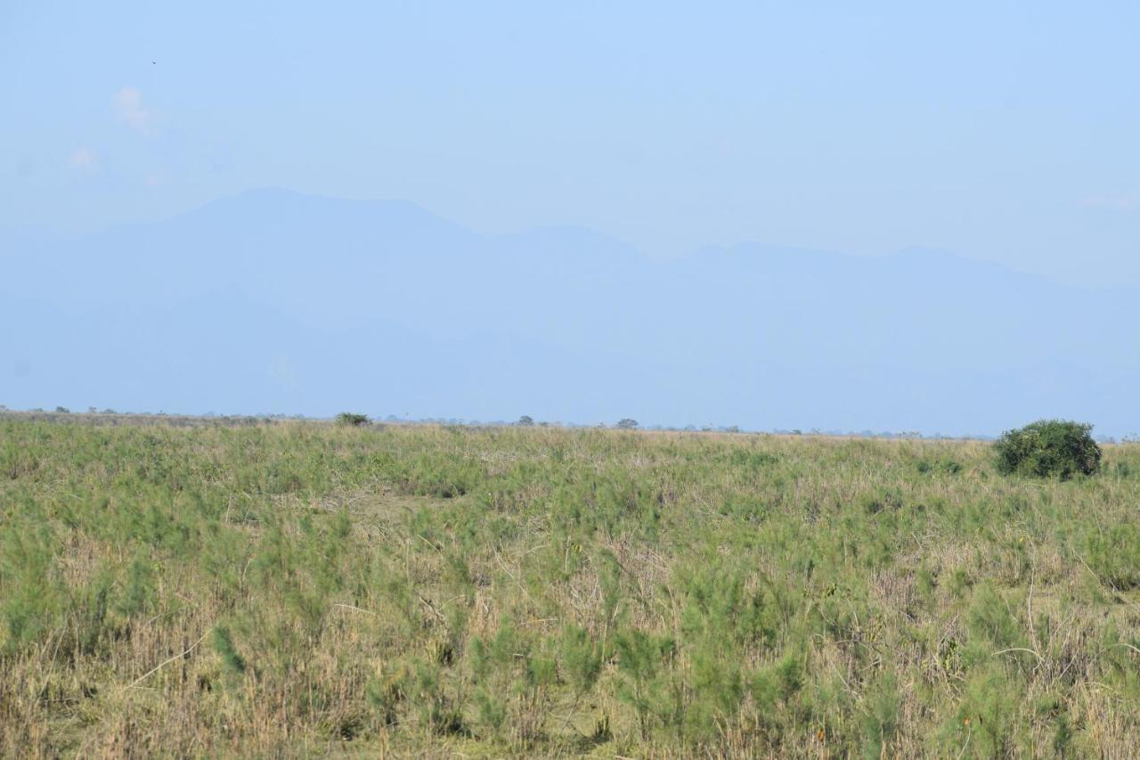 Dhansiri Eco Camp Bokakhat Bagian luar foto